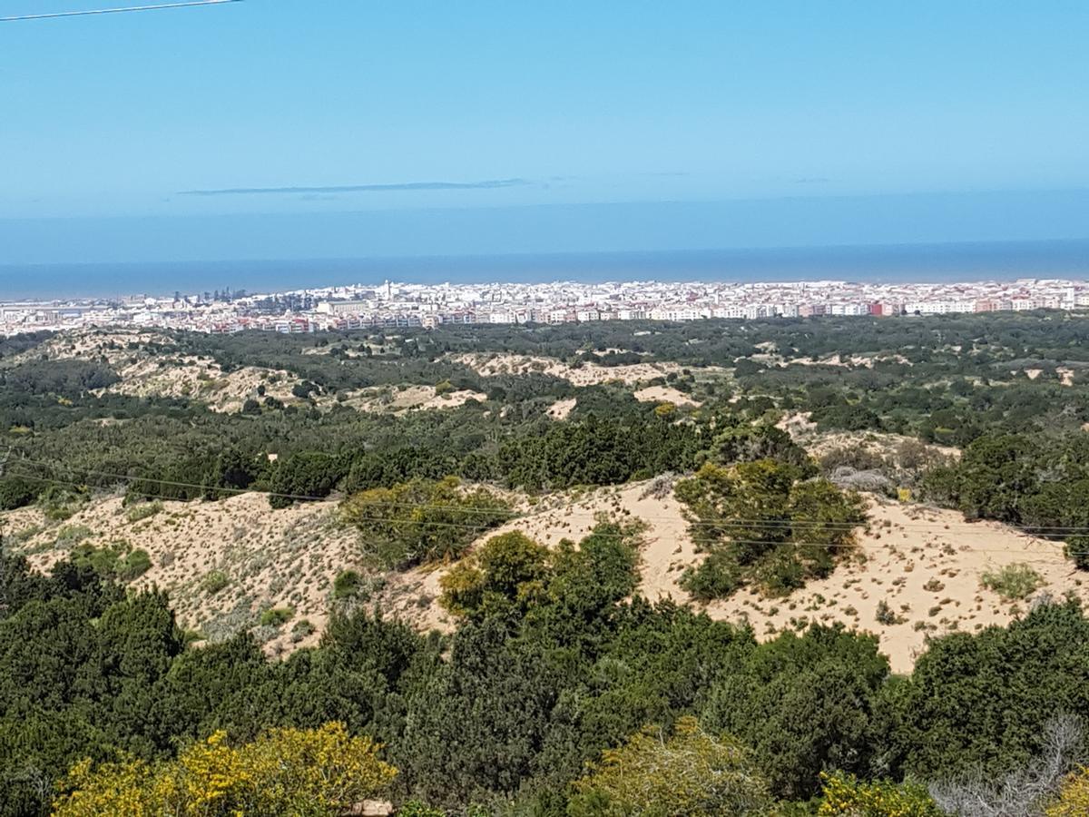 Riad Sidi Magdoul As-Suwajra Zewnętrze zdjęcie